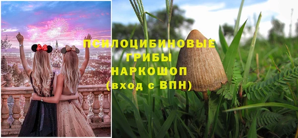 бошки Алексеевка