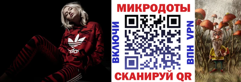 Галлюциногенные грибы Psilocybe  наркота  Шацк 